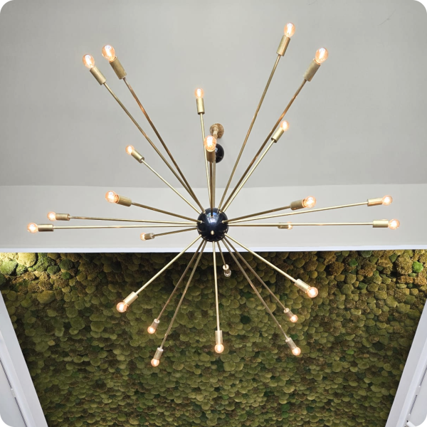 Repas de groupe - Le Samoa - Restaurant Vichy - Meilleur restaurant Vichy